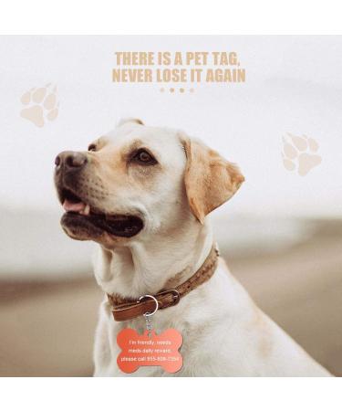 20 Pack Aluminum Dog Brand Bone Stamps - Waterproof Address Tags for Dogs & Cats - DIY Pet Detection with Designage 2.5x3.8cm Chains - Buy Online on GoSupps.com