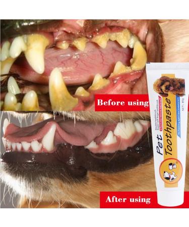 Pethouzz Dog Toothpaste 3-oz with Toothbrush Soft Pet Toothbrush For The Dental Care of Your Dog - Buy Online on GoSupps.com