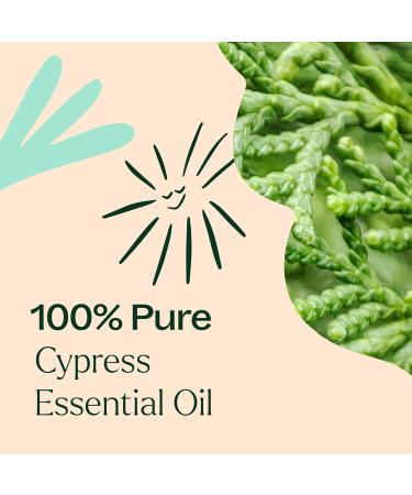 Plant Therapy Cypress Essential Oil 10 mL (1/3 oz) 100% Pure Undiluted Natural Aromatherapy for Congestion Relief and Clear Skin 0.33 Fl Oz (Pack of 1) - Buy Online on GoSupps.com