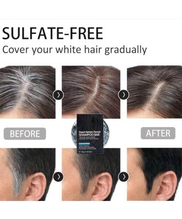 2PCS Hair Darkening Charcoal Shampoo Bar Organic Bamboo Charcoal Shampoo Soap Organic Gray Reverse Shampoo Bar Solid Shampoo Soap for Repair Dry Damaged Hair for All Hair Types - Buy Online on GoSupps.com