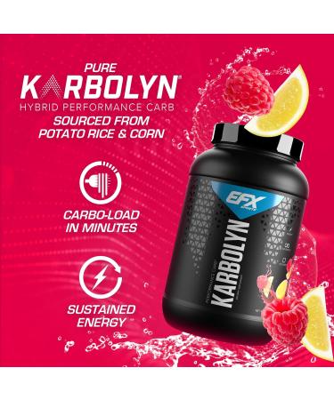 EFX Sports Karbolyn Fuel - Fast-Absorbing Carb Powder for Energy & Recovery | 37 Servings Raspberry Lemonade | Stimulant Free Carb Load - Buy Online on GoSupps.com