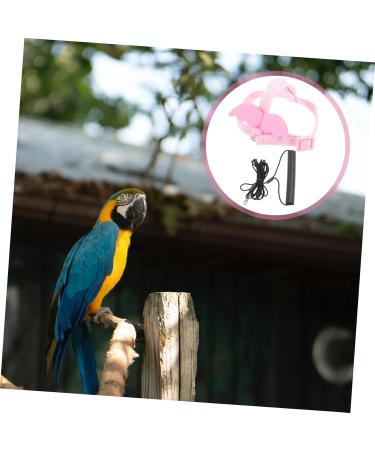 DOITOOL 3 Sets Bird Leash Suspend Parrot Harness and Leash Conure Birds Flying Harness Kit Gecko 12X6X1.3CMx3pcs Pinkx3pcs - Buy Online on GoSupps.com