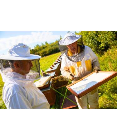 Pure Wild Raspberry Honey - 500g | Raw & Natural | Ethically Harvested | Boosts Vitality and Immunity | Sustainable Packaging - Buy Online on GoSupps.com
