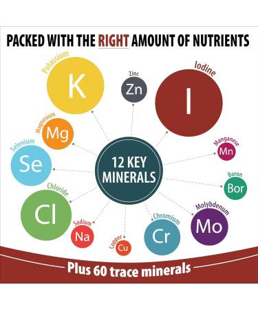 Trace Mineral Complex Full Spectrum Minerals Ionic Liquid Mineral Drops for Water Electrolytes Hydration Supplement - 2 fl oz Glass Bottle - Buy Online on GoSupps.com