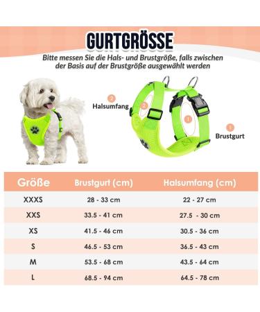 Slowton Dog Harness for Small & Medium Dogs | No Pull Safety Breast Harness | Soft Padded & Breathable - Shop Now - Buy Online on GoSupps.com