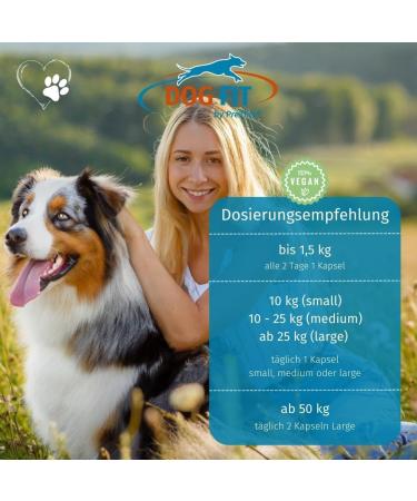 Dog Fit by Prethis - Vegan B Vitamin Complex for Dogs | Nerve Strengthening Incontinence & Nervousness Support | Large Animals (25kg+) - Buy Online on GoSupps.com