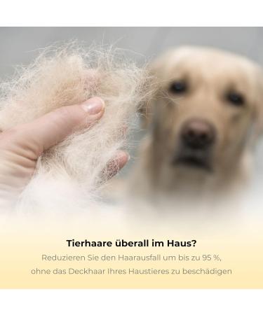 Thunderpaws Professional Fur Care Tool - De-Shedding Brush for Dogs & Cats | Best D-Shedz for All Fur Types & Sizes (Blue) - Buy Online on GoSupps.com