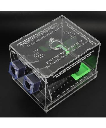 Cricket Cricket Ding Box Feeding Clim Pet Cricket Ding Box Dubia Feed Box SmallFeeding BoxAcrylic Feeding Cricket Keeper Pen with Tubes Cockroach Care Kit Reptile BoxS (L) - Buy Online on GoSupps.com