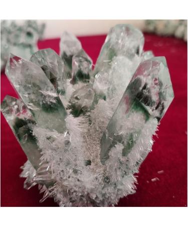 Natural Crystal Rough Crystal Cluster 300-1000g Rare Beautiful Green Ghost Phantom Quartz Crystal Cluster Specimen (Size : 800-900) - Buy Online on GoSupps.com