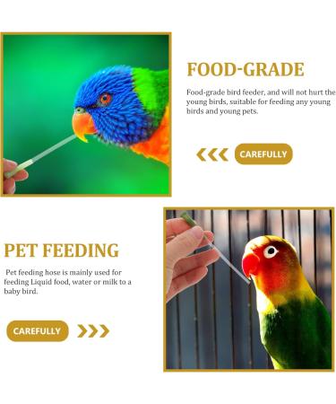 PopetPop 45 STK Feeding Hose for Parrots | Bird Accessories Food Dispenser & Medicine Water Dispenser | AR Parts Kit for Small Animals | Durable 12x0.4cm - 5PCs - Buy Online on GoSupps.com