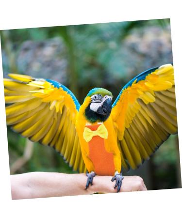 Minkissy Xuan Feng Diapers for Birds | Protective Cotton Diapers for Parrots Nymphensitties Geese & Pigeons - 5 Pack - Buy Online on GoSupps.com