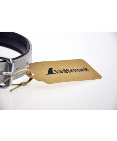 Premium Leather Sniffing Fans Dog Collar - Padded Robust Design for All Sizes (M: 28-36cm Gray) - International Shipping - Buy Online on GoSupps.com