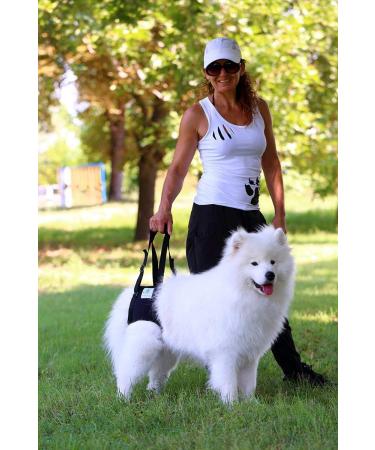 Premium XL Blue Dog Rehabilitation Aid - Neoprene Walking Support for Spine Hip & Knee Issues | From Nature Pet - Buy Online on GoSupps.com