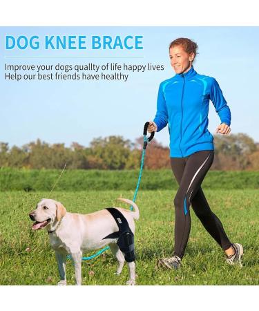 Dog Knee Brace for Back Leg Dog Elbow Brace Protector Pads for Support with Cruciate Ligament Injury Dysplasia Osteoarthritis Dog Leg Braces Adjustable Dog Rear Leg Braces (M) - Buy Online on GoSupps.com