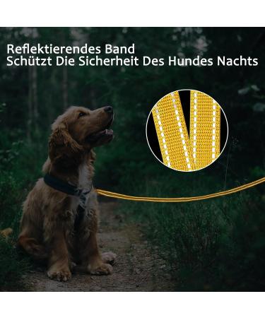 Demigreat Reflective Dog Leash - 3m/5m/10m/15m/20m Training Lead with Padded Handle for Small to Large Dogs - Durable & Long Yellow Leash for Safe Outdoor Training - Buy Online on GoSupps.com