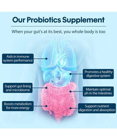 300 Billion CFU Probiotics for Women and Men | 12 Strains Probiotics with Organic Prebiotics | Digestive & Gut Health Support | Immune Boost | 60 Capsules - Buy Online on GoSupps.com