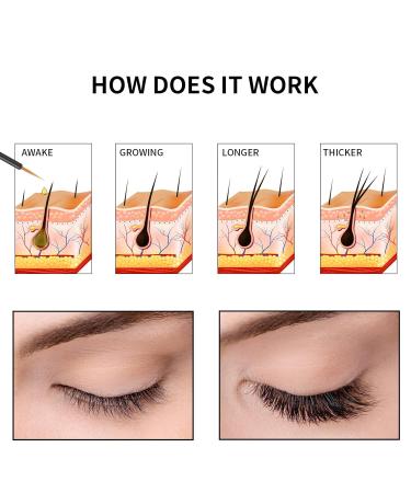 Premium Eyelash Growth Serum - 5ML Eyelash & Eyebrow Growth Serum with Peptides for Fuller, Longer, Thicker Lashes - Irritation-Free Lash Boost - Gold, 0.17 Fl Oz (Pack of 1) - Buy Online on GoSupps.com