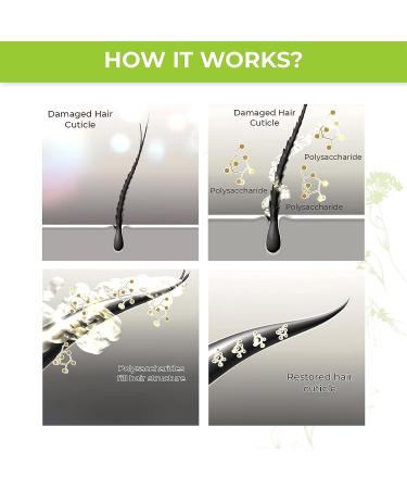 Amazonliss Vegan Keratin Hair Treatment Set - Purifying Shampoo, Reducer Fluid & Reconstructive Mask - Complete Hair Care Kit, 33.8 oz - Natural Hair Products for Conditioning - 1 Count - Buy Online on GoSupps.com