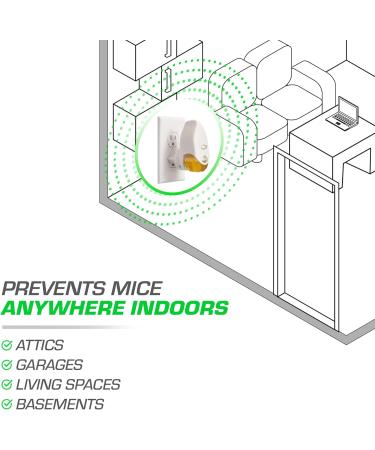 Tomcat Rodent Repeller - Essential Oil Plug-In with 2 Refills | Effective Mouse Repellent for Home & Garden - Buy Online on GoSupps.com