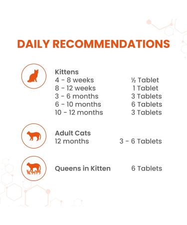Vetzyme Conditioning Tablets for Cats and Kittens (300 Tablets) - Promotes Health and Vitality Supporting a Healthy Immune System - Buy Online on GoSupps.com