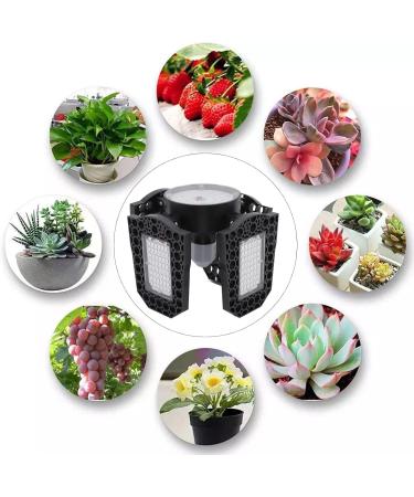 150W LED Grow Light for Indoor Plants | Foldable E27 Growth Lamp with Red & Blue Spectrum | Hydroponic & Greenhouse Use (85-265V - Buy Online on GoSupps.com