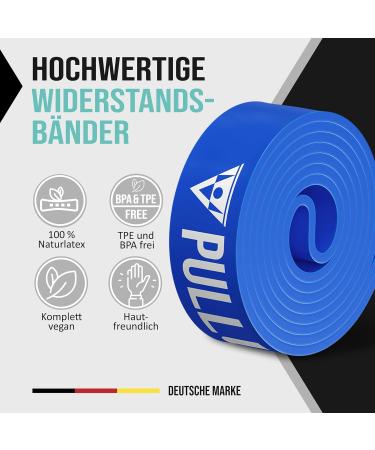 Buy Pull-Up & DIP Fitness Straps Resistance Tapes with Bag | Door Anchor & Exercise Guide | Medium Calisthenics Band (Blue) - Affordable Sets for Home Workouts - Buy Online on GoSupps.com