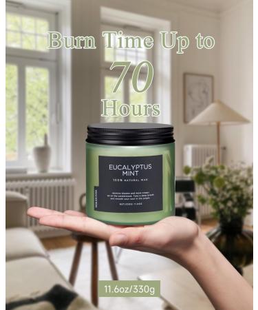 M&SENSE Eucalyptus Mint Soy Candles - 11.6oz Aromatherapy Candle for Stress Relief Meditation Yoga & Relaxation | 70 Hour Burn Gift for Men & Women - Buy Online on GoSupps.com