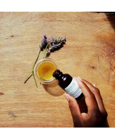 Aromatics International Tamanu Oil 1 fl oz Cold-Pressed Carrier Oil for Skincare Hair Care Massage and DIY Beauty Blends 30 mL Tamanu 1 Fl Oz (Pack of 1) - Buy Online on GoSupps.com