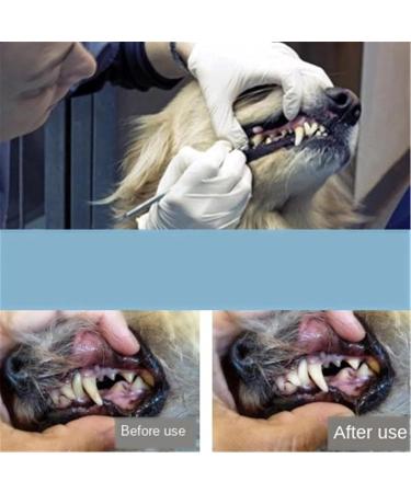 Elionless Pet Tooth Scaler Cleaning Set | 3-Piece Stainless Steel Tartar & Plaque Remover for Dogs & Cats International Shipping Available - Buy Online on GoSupps.com
