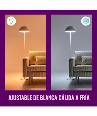 WiZ Connected Color 60W Candle B11 Smart WiFi Light Bulb  16 Million Colors  Compatible with Alexa and Google Home Assistant  No Hub Required  1 Bulb Candle Color 1 Count (Pack of 1) - Buy Online on GoSupps.com
