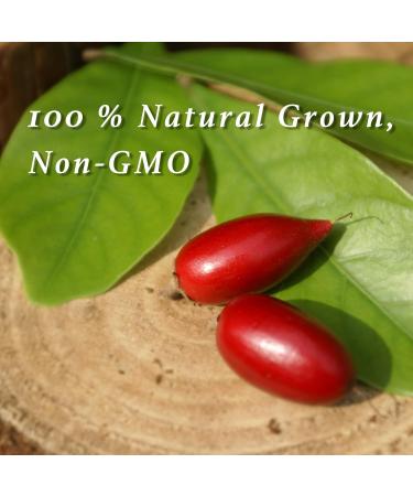 Miracle Frooties Sour to Sweet Flavor Tablets - Natural, Sugar-Free Taste Shifter with Miraculin - 10 count Green Box - Buy Online on GoSupps.com