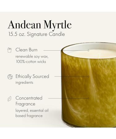 LAFCO New York Andean Myrtle Candle - 15.5 oz 90-Hour Burn Time Reusable Glass Vessel Made in USA - International Shipping Available - Buy Online on GoSupps.com