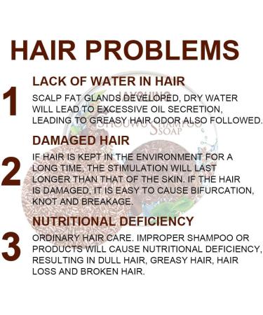 Hair Darkening Shampoo Bar Hair Shampoo Soap Solid Shampoo Bar Natural Organic Polygonum Multiflorum Hair Care Shampoo Repair Conditioner for All Hair Types - Buy Online on GoSupps.com