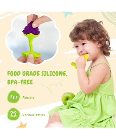 SHARE&CARE BPA Free Silicone Fruit Teether Toys with Storage Case - Infant Teething Pain Relief (5 Tree Fruits) - Buy Online on GoSupps.com