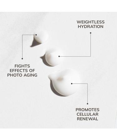 Buy COLLEEN ROTHSCHILD Sheer Renewal Cream - Oil-Free Formula for 24 Hour Weightless Hydration & Wrinkle Minimization | International Shipping Available - Buy Online on GoSupps.com