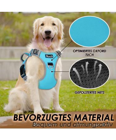Eyin Adjustable Dog Harness for Large Dogs - Breathable Reflective Padded with Handle | Perfect for Daily Training (Blue L) - Buy Online on GoSupps.com