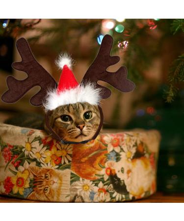 Shop Lynbly Christmas Reindeer Headband for Pets | Adjustable Cat & Dog Headgear with Santa Hat - Buy Online on GoSupps.com