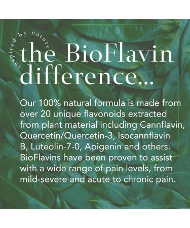 AJA REPLENISH Moisturizer - Natural Hydration and Skin Nourishment (5 Ounce) - Buy Online on GoSupps.com