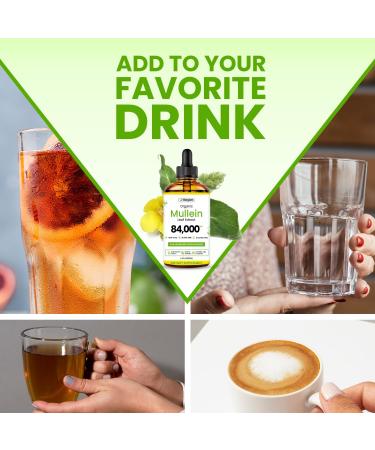 Mullein Drops for Lungs USDA Organic Lung Detox and Cleanse Liquid with Marshmallow Thyme Astragalus Orange Peel Echinacea Alcohol & Sugar Free Extract for Smokers 2 Fl Oz 2 Fl Oz (Pack of 1) - Buy Online on GoSupps.com