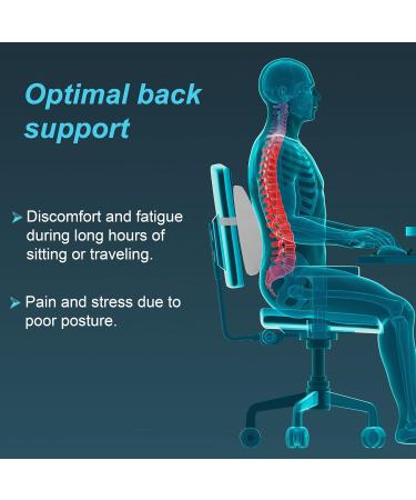 Back rest - Un 1 count - Buy Online on GoSupps.com