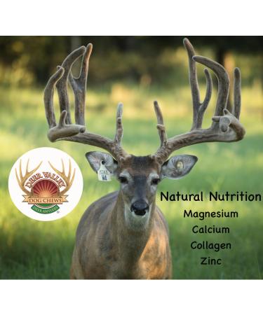 Deer Valley Dog Chews (Large Single 6-7 Inches Long) Ideal for Dogs Over 45 lbs - High Grade Naturally Shed Deer Antler for Aggressive Chewers (Jouet Pour Chien) - Buy Online on GoSupps.com