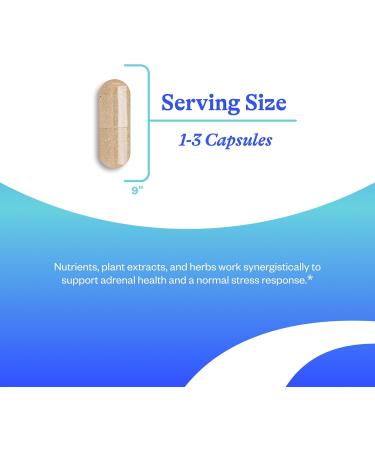Seeking Health Stress Nutrients Formerly Adrenal Nutrients Adrenal Support Supplement Healthy Cortisol Regulation and Normal Stress Response Support (90 Capsules)* - Buy Online on GoSupps.com