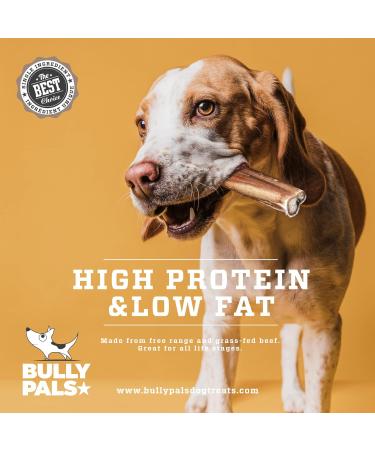 BULLY PALS - 12 inch Jumbo Bully Sticks - av 75 gr Each! - 5 Pack - Long Lasting All Natural Single Ingredient Dehydrated Dog Treats and Dental Chews for Big Dogs and Aggressive chewers 75 g (Pack of 5) - Buy Online on GoSupps.com