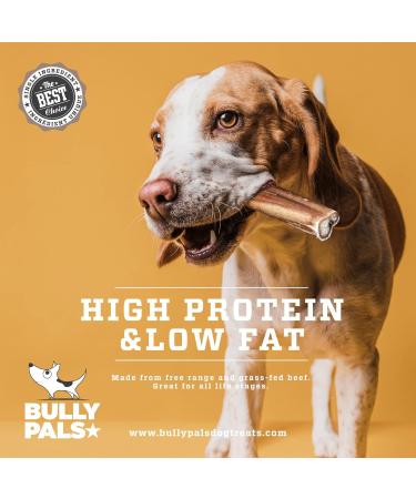 BULLY PALS - 12" Jumbo Bully Sticks - av 75 gr Each! - 10 Pack - Long Lasting All Natural Single Ingredient Dehydrated Dog Treats and Dental Chews 1 count (Pack of 10) - Buy Online on GoSupps.com