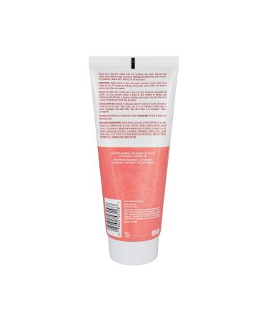Freeman Exotic Blends Korean Cica Clay Face Mask - Acne Relief Skin Calming All Skin Types 6 fl. oz | Clean Skincare - Buy Online on GoSupps.com