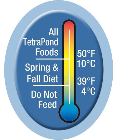 TetraPond Spring and Fall Diet Floating Pond Sticks Fish Food 7.05 Ounce (Pack of 1) - Buy Online on GoSupps.com