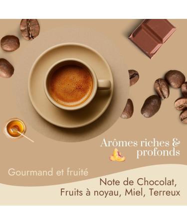 Caf Bonnac Caf En Grain Papouasie Nouvelle-Guin e Kenta 1kg | 100% Arabica De Terroir | Notes De Cacao Fleurs Et Fruits M rs | Torr faction Artisanale | Id al Machine Caf Grain 1 1 kg (Lot de 1) - Buy Online on GoSupps.com