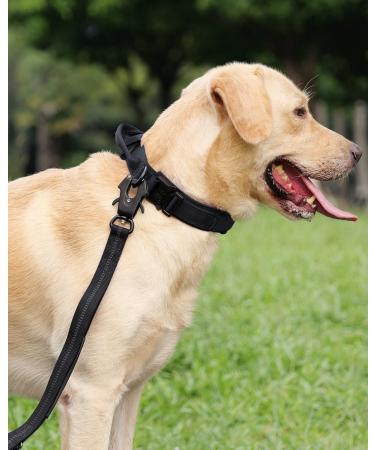 Joyal Tactical Dog Collar - Durable Handle & QR Code for Large Dogs - Black XL - Buy Online on GoSupps.com