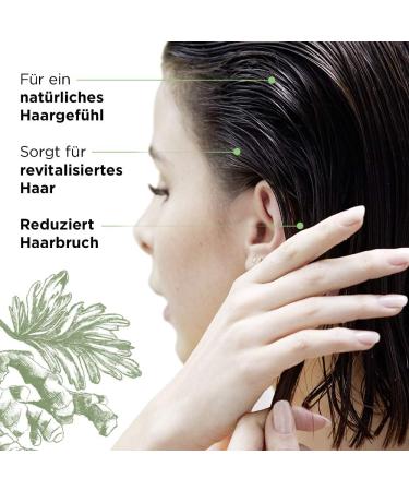 L'Or al Paris Botanicals Fresh Care Koriander Masker 200 ml - Buy Online on GoSupps.com