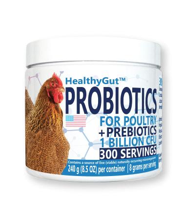 Healthy Gut Probiotics for Chickens & Poultry, All-Natural Digestive System Dietary Supplement 240 Grams | 30 Scoops